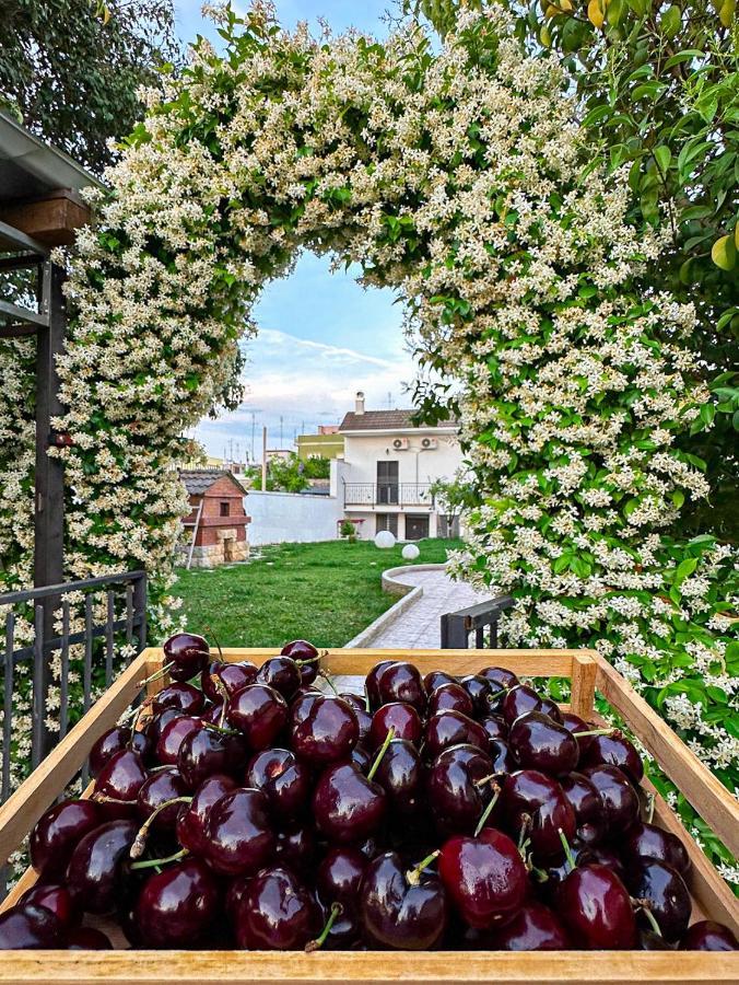 Villa Ardigo - Camera O Appartamento บารี ภายนอก รูปภาพ